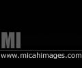 MI