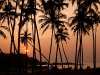 Agonda Beach, Goa