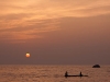 Agonda Beach, Goa