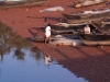 Fishing boats, Agonda Beach
