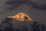 Dhaulagiri (8167 m or 26,951 ft) at sunrise from Poon Hill.
