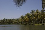 Munroe Island backwaters, near Kollam.