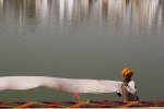 pushkar Drying turbans by the sacred lake, Pushkar.