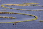Loktak Lake, Manipur