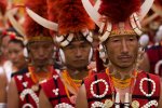 hornbill _MG_3866