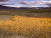 Fields near Korzok