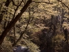 Langtang trek