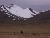 Nomadic herder in the valley below the Kyamayuri La