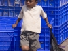 Boy next to crates for packing fish, Malpe Harbor.