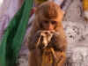Swayambhunath (Monkey Temple)