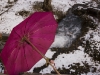 Umbrella at Muktinath temple after the snow storm.