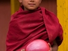Young monk, Bomdila
