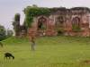 Ruins of the 17th century Rajabari, Udaipur